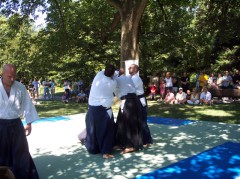 Aikido 065 